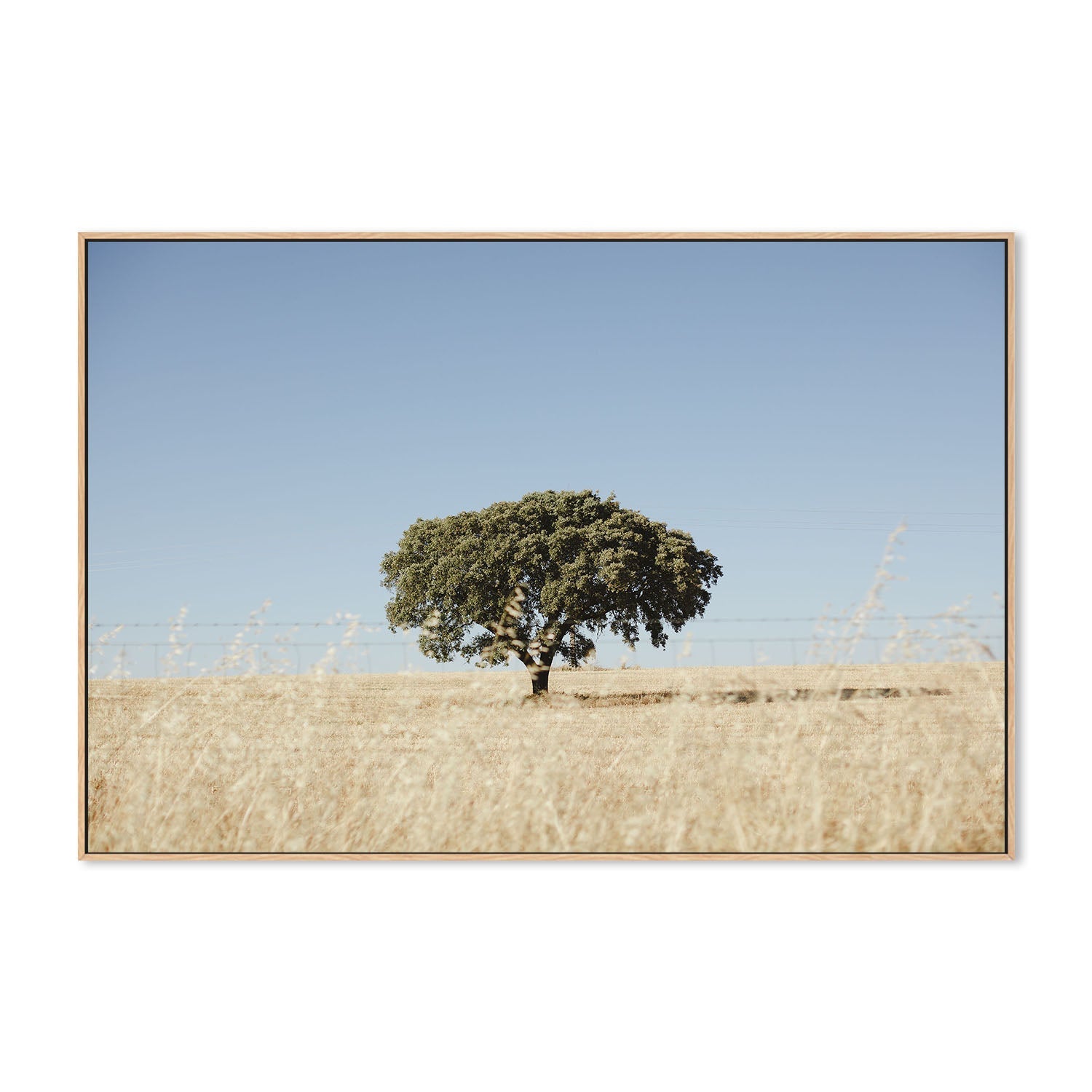 wall-art-print-canvas-poster-framed-Rustic Landscape , By Hello Twiggs-4