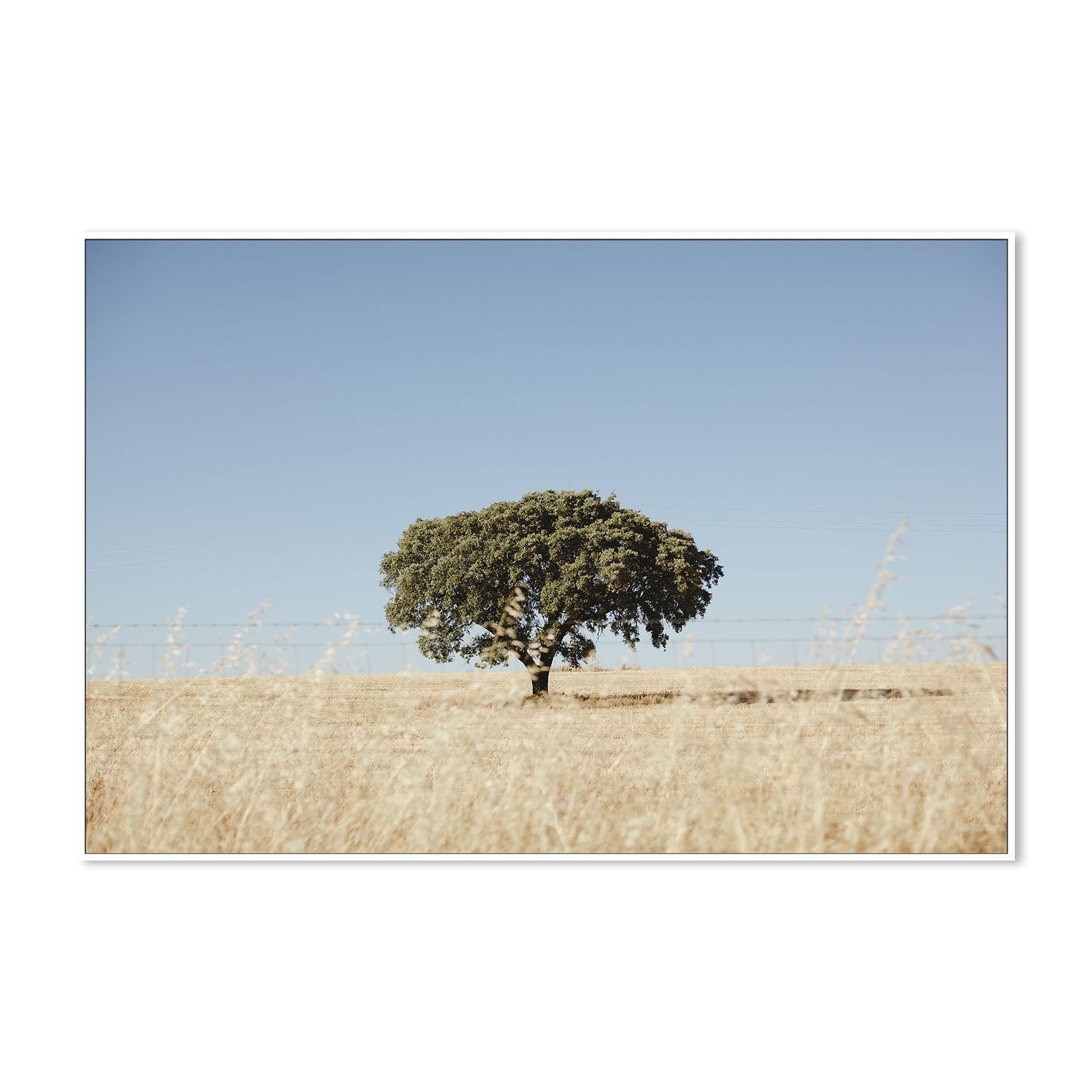 wall-art-print-canvas-poster-framed-Rustic Landscape , By Hello Twiggs-5