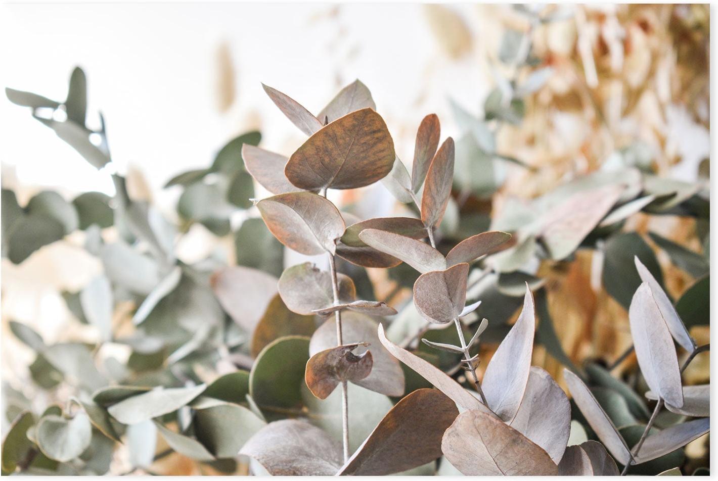 wall-art-print-canvas-poster-framed-Rusty Leaves-GIOIA-WALL-ART