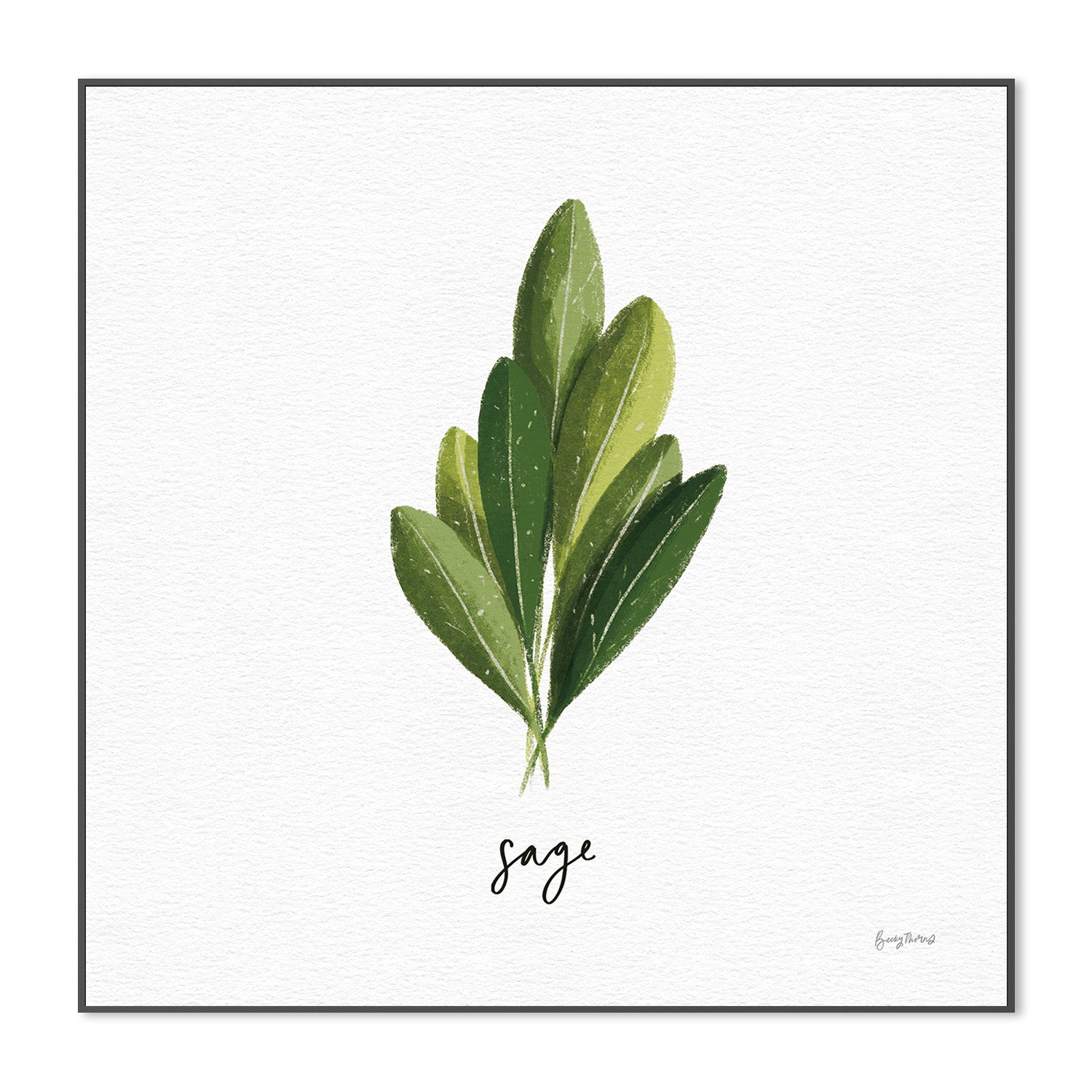 wall-art-print-canvas-poster-framed-Sage Herbs White, Style A , By Becky Thorns-3
