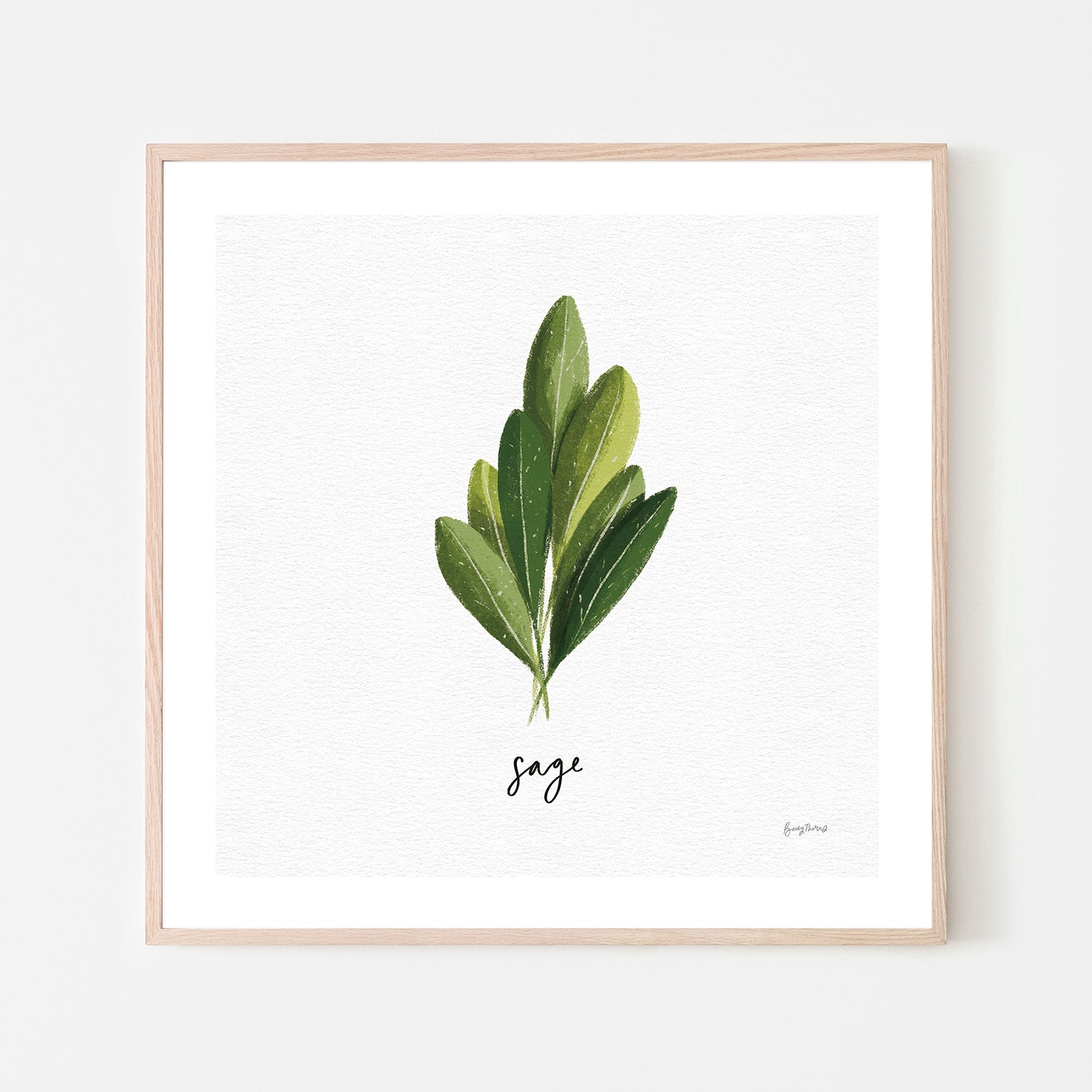wall-art-print-canvas-poster-framed-Sage Herbs White, Style A , By Becky Thorns-6