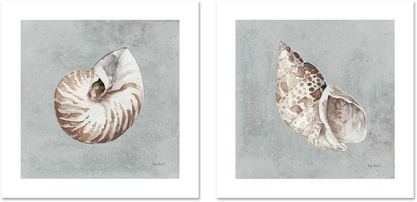 wall-art-print-canvas-poster-framed-Sand And Seashells, Style A & B, Set Of 2 , By Lisa Audit-GIOIA-WALL-ART