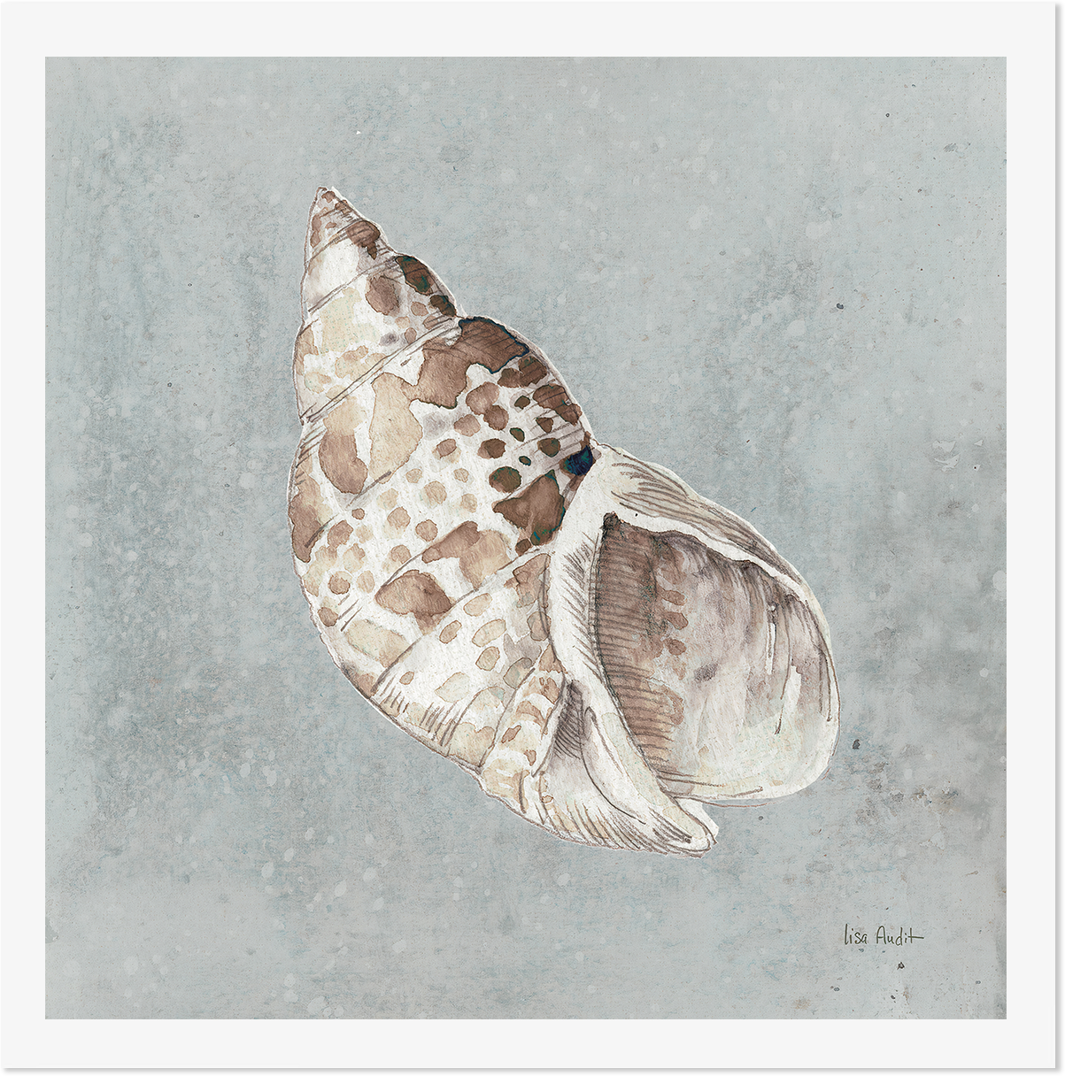 wall-art-print-canvas-poster-framed-Sand And Seashells, Style B , By Lisa Audit-GIOIA-WALL-ART