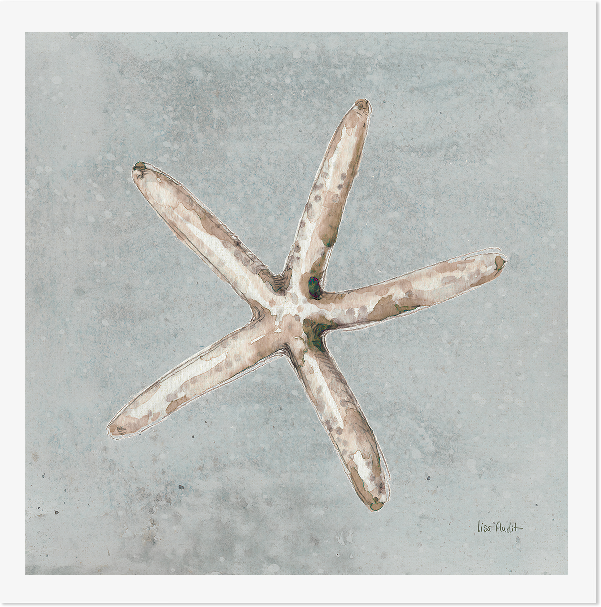 wall-art-print-canvas-poster-framed-Sand And Seashells, Style C , By Lisa Audit-GIOIA-WALL-ART
