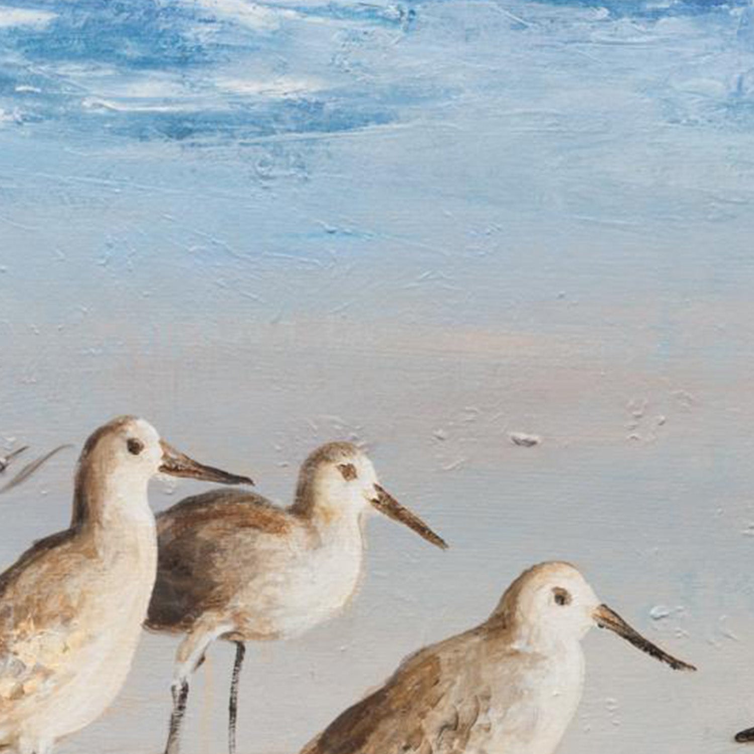 wall-art-print-canvas-poster-framed-Sandpiper Stroll-10