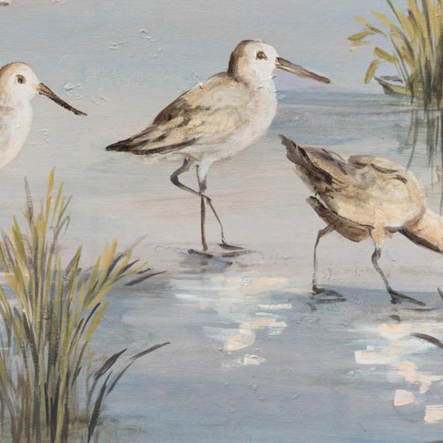 wall-art-print-canvas-poster-framed-Sandpiper Stroll-11