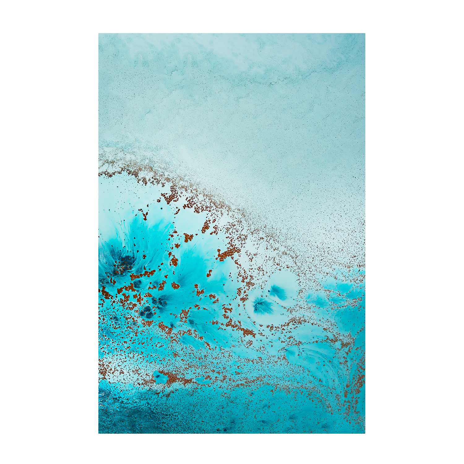 wall-art-print-canvas-poster-framed-Sea Life, Style A & B, Set Of 2 , By Petra Meikle-9