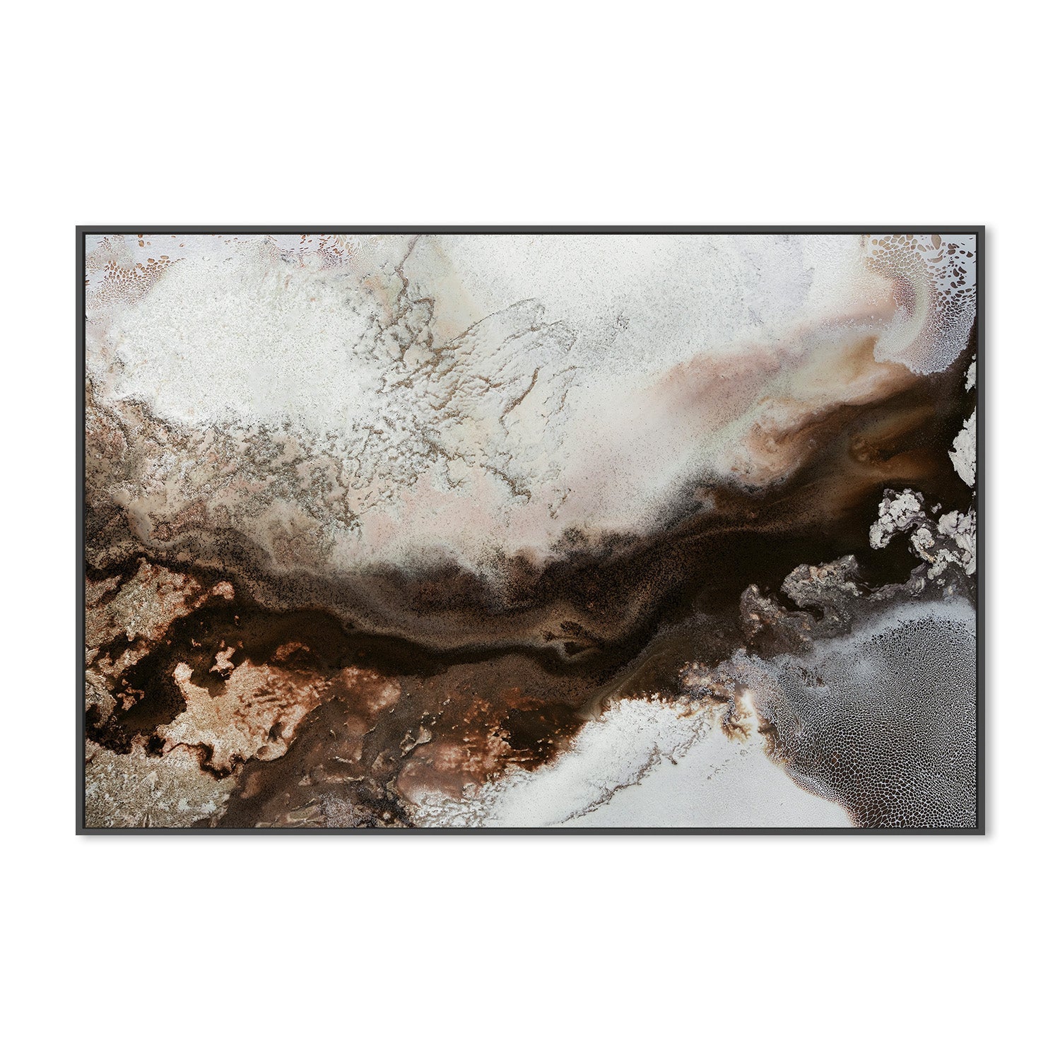 wall-art-print-canvas-poster-framed-Sepia Serendipity , By Petra Meikle-3