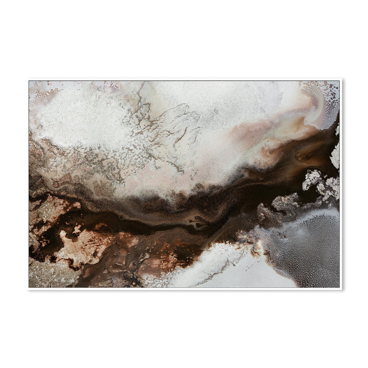 wall-art-print-canvas-poster-framed-Sepia Serendipity , By Petra Meikle-5