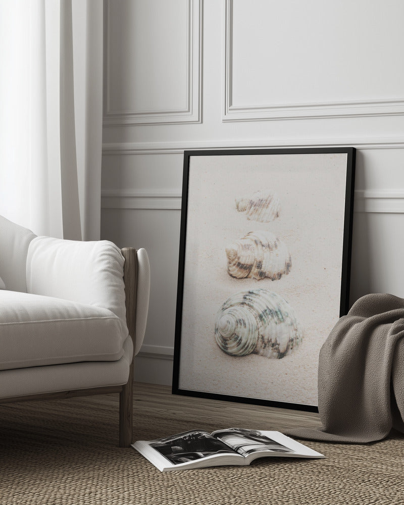 wall-art-print-canvas-poster-framed-Shells-3
