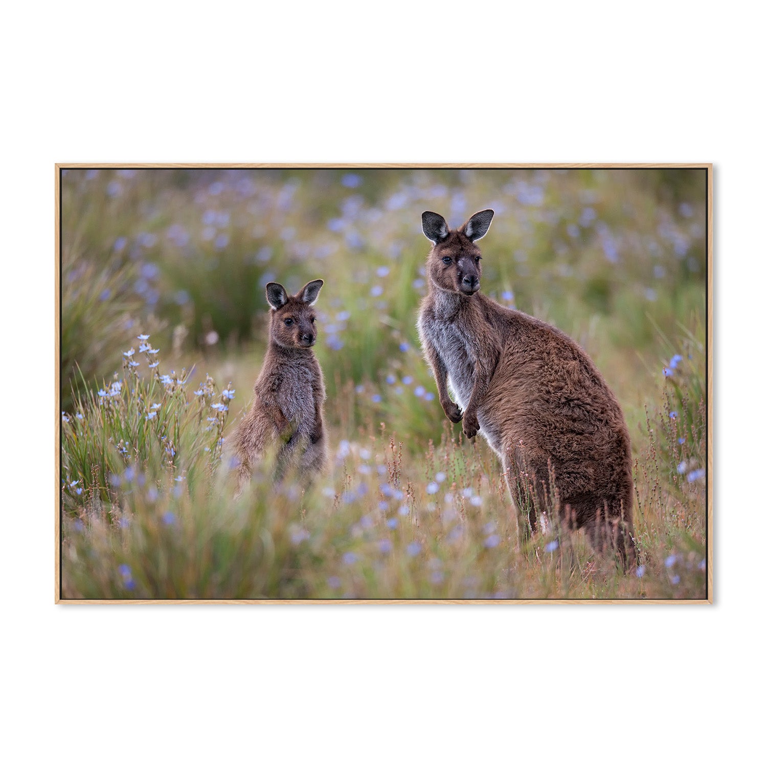 wall-art-print-canvas-poster-framed-Shot by Clint_259276-4