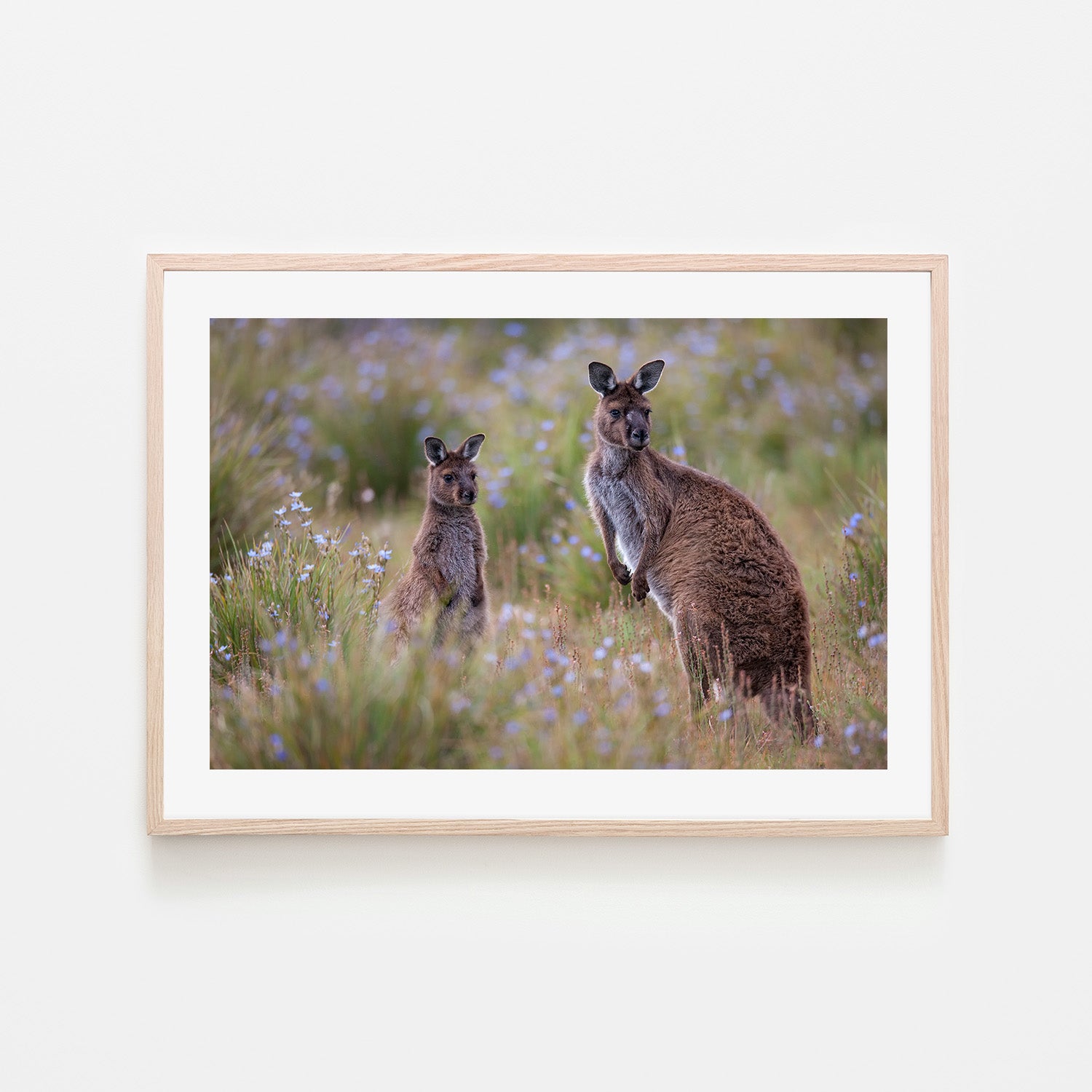 wall-art-print-canvas-poster-framed-Shot by Clint_259276-6