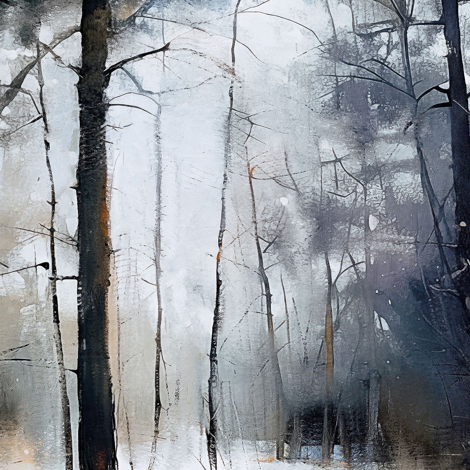 wall-art-print-canvas-poster-framed-Silent Forest-10