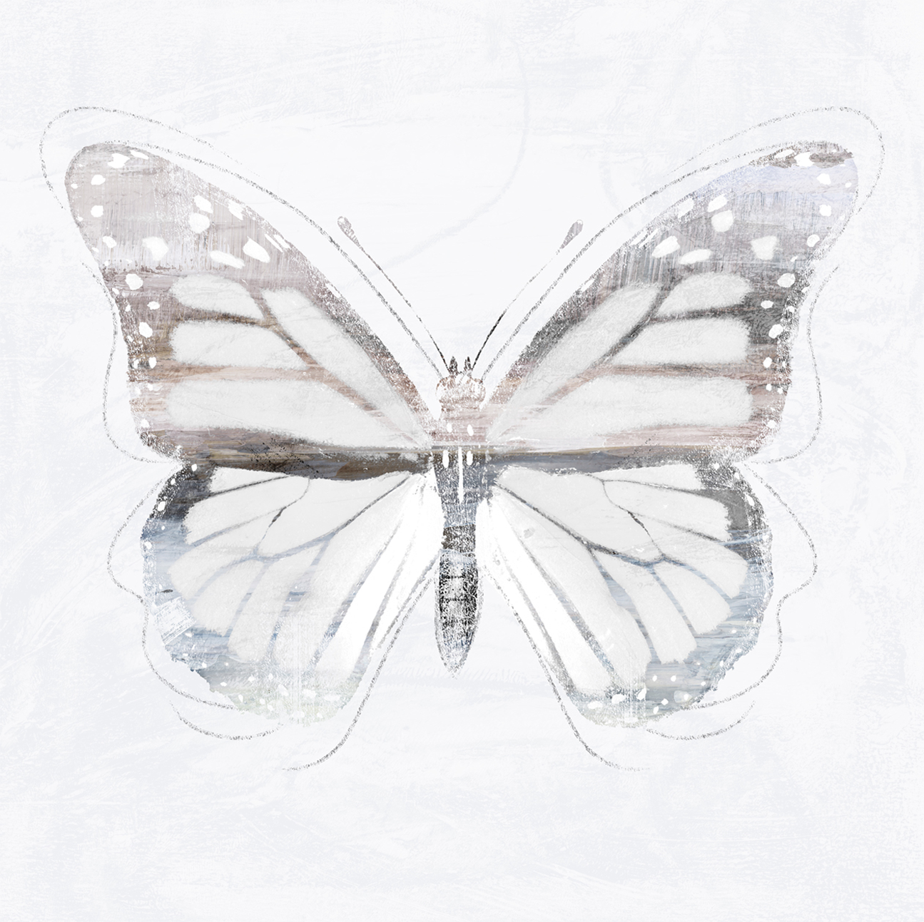 wall-art-print-canvas-poster-framed-Silver Butterfly, Style B , By Nina Blue-1