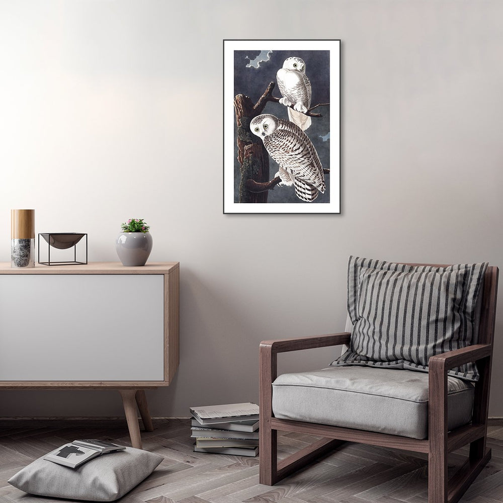 wall-art-print-canvas-poster-framed-Snowy Owl, By John James Audubon-by-Gioia Wall Art-Gioia Wall Art