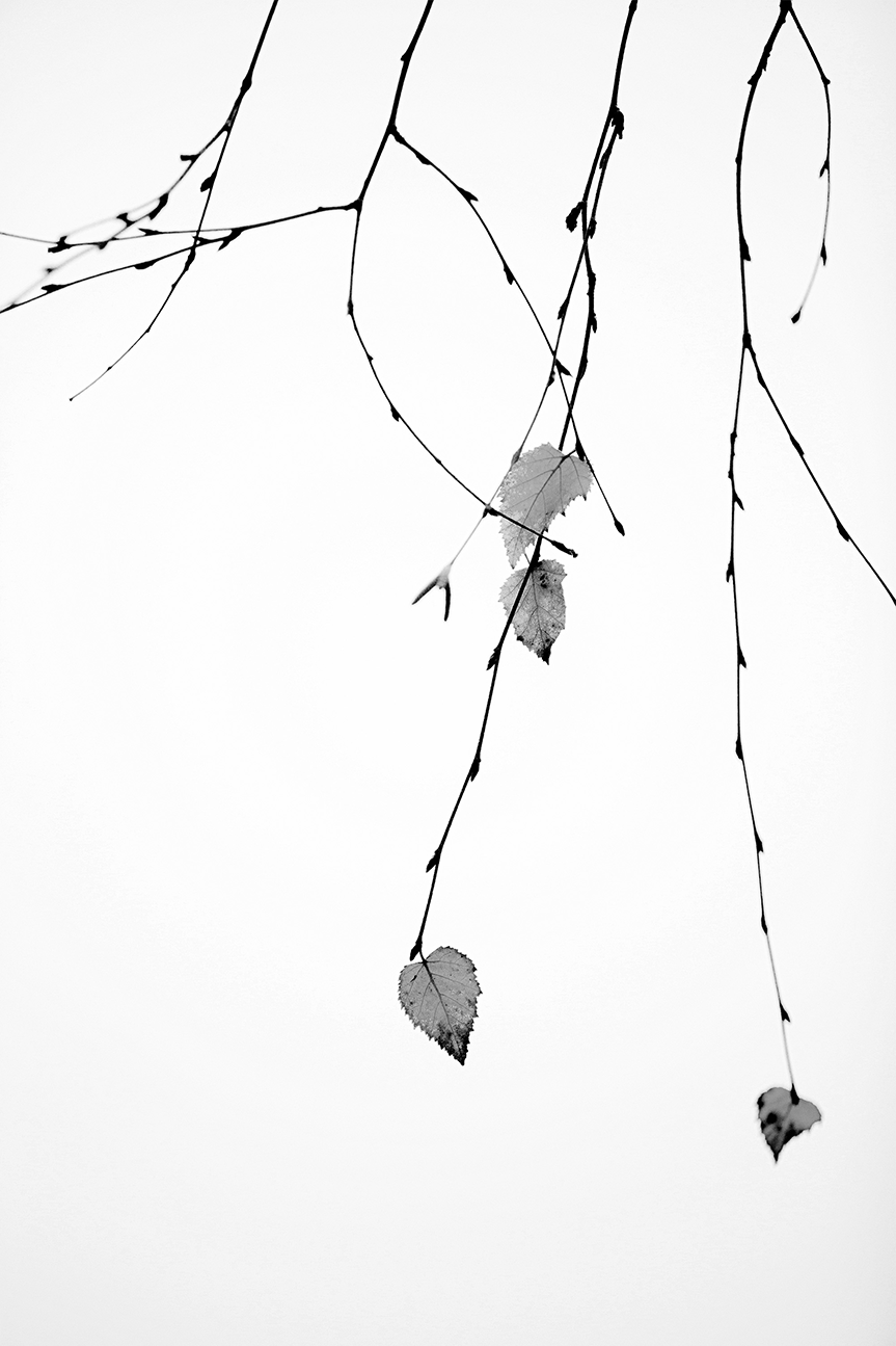 wall-art-print-canvas-poster-framed-Solo-1