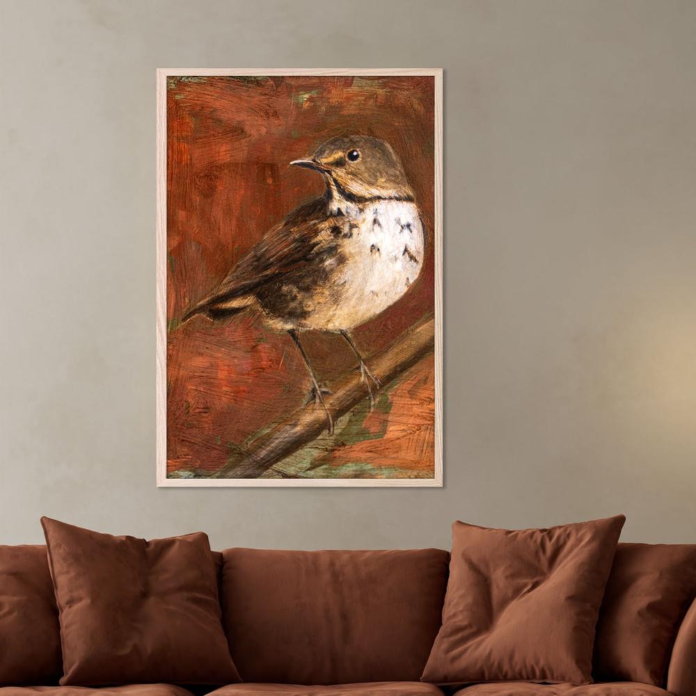 wall-art-print-canvas-poster-framed-Speckled Thrush Perched-7