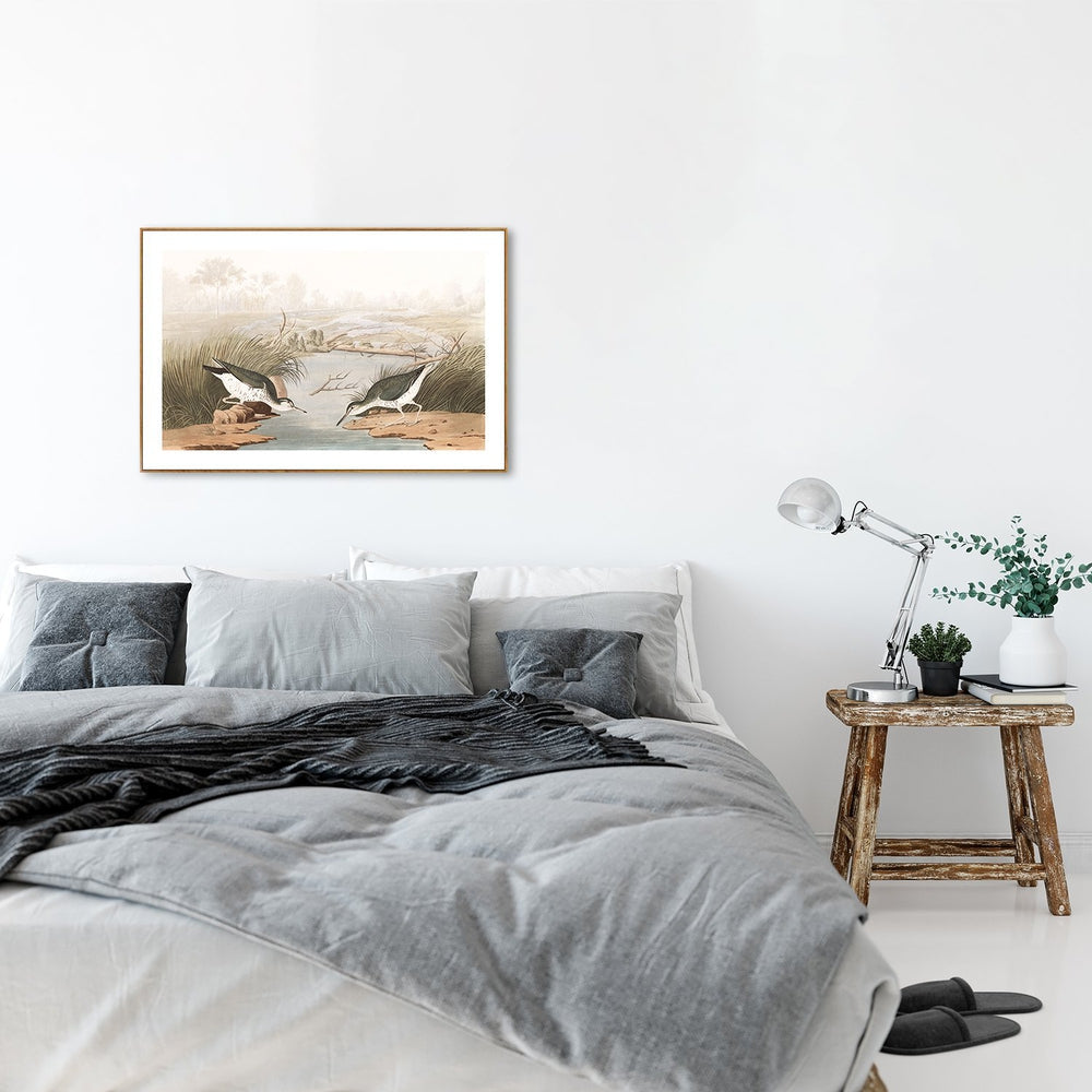 wall-art-print-canvas-poster-framed-Spotted Sandpiper, By John James Audubon-by-Gioia Wall Art-Gioia Wall Art