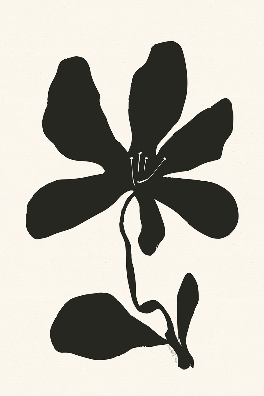 wall-art-print-canvas-poster-framed-Spring Bloom , By Andelle Art-1