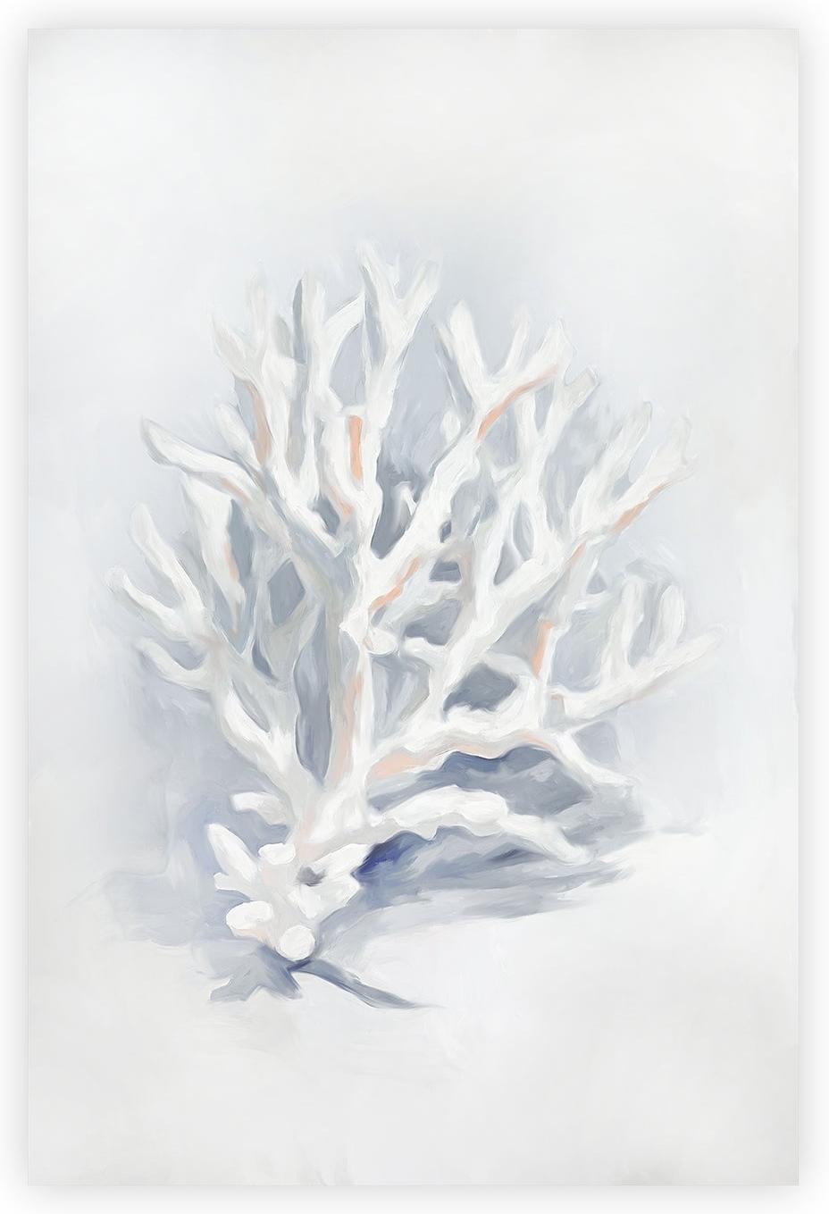 wall-art-print-canvas-poster-framed-Staghorn Coral , Style C, By Accent Art Studio , By Accent Art Studio-1