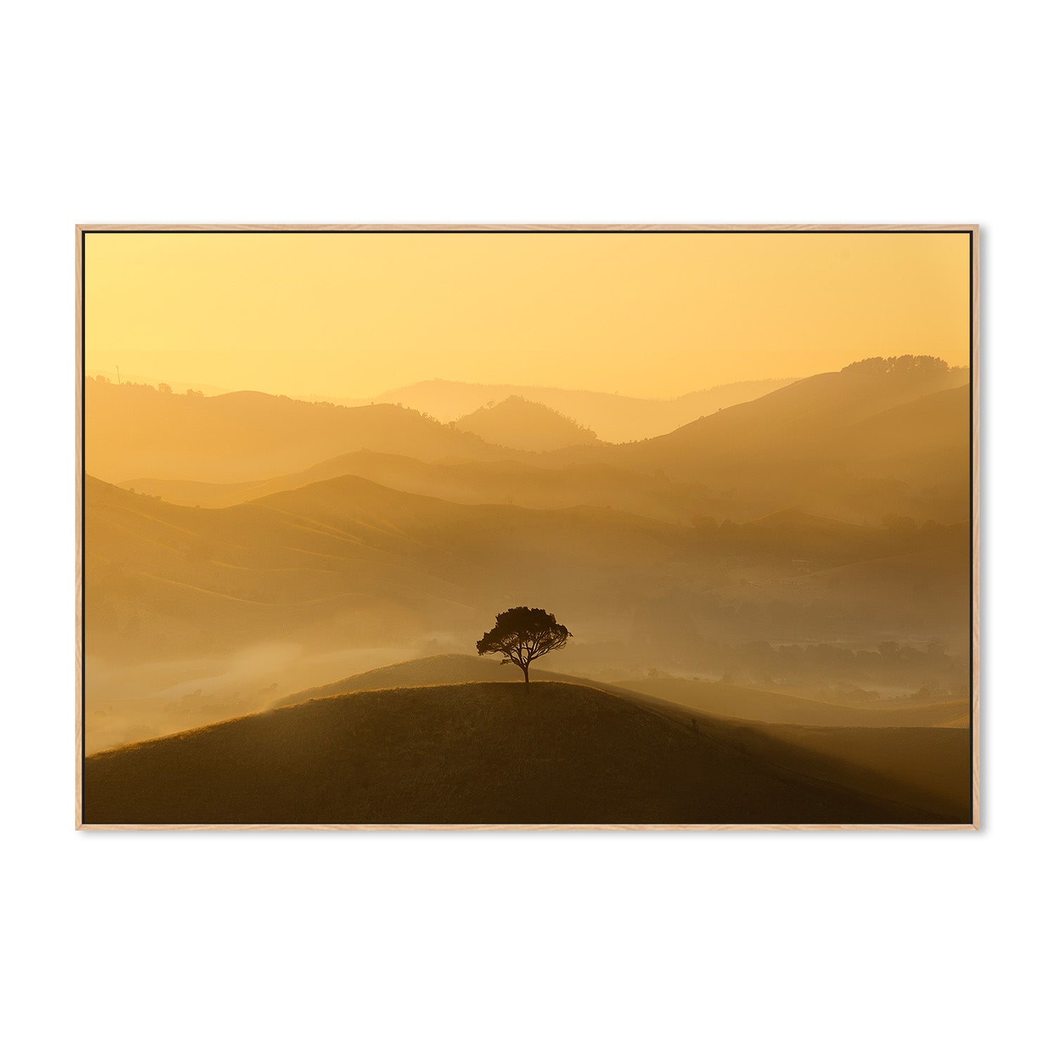 wall-art-print-canvas-poster-framed-Strathbogie Ranges, Victoria , By Christopher Cann-4