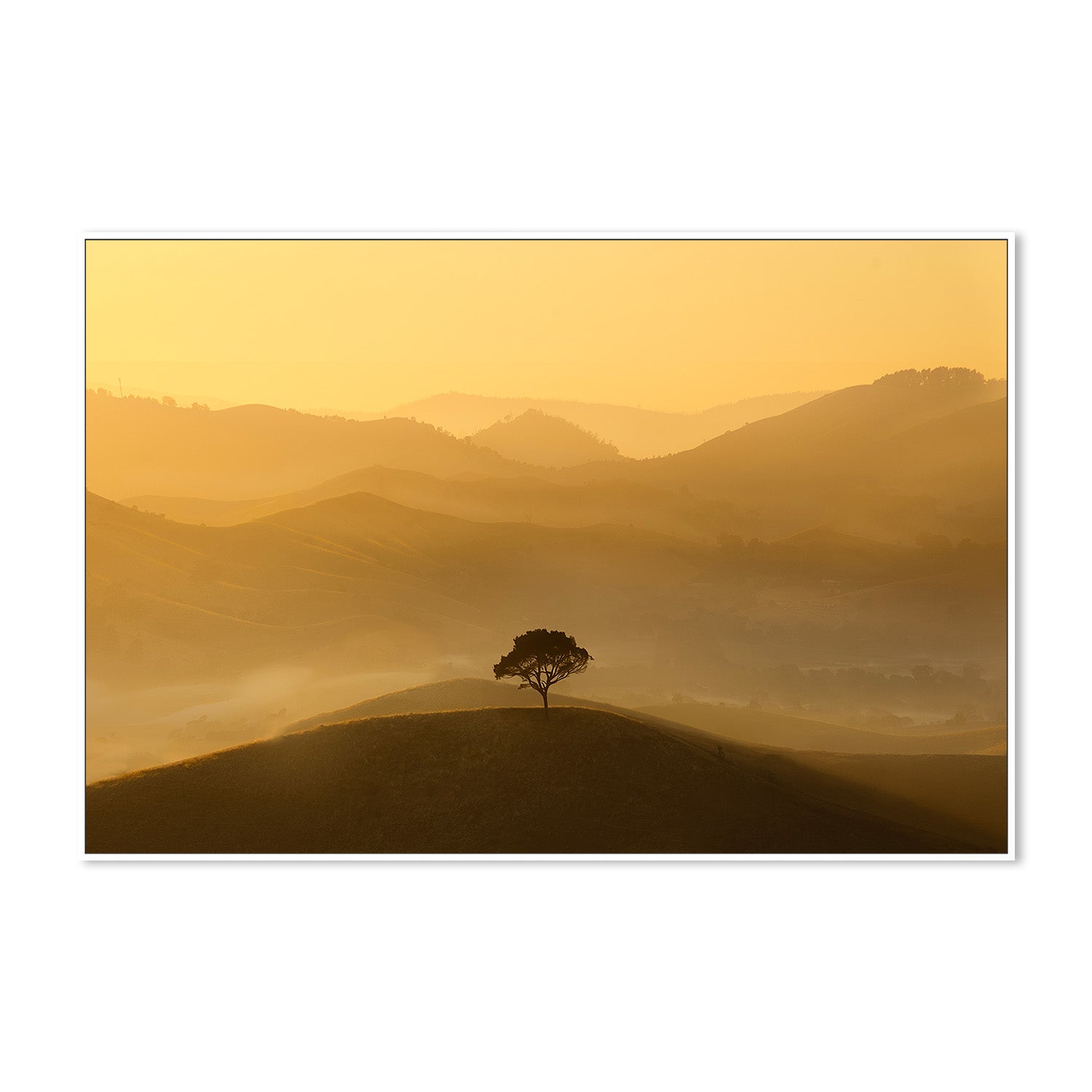 wall-art-print-canvas-poster-framed-Strathbogie Ranges, Victoria , By Christopher Cann-5