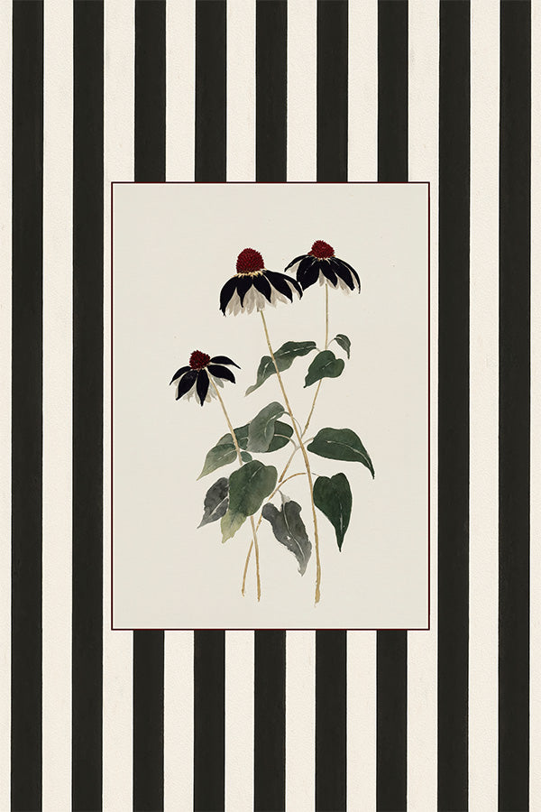 wall-art-print-canvas-poster-framed-Striped Flower-1