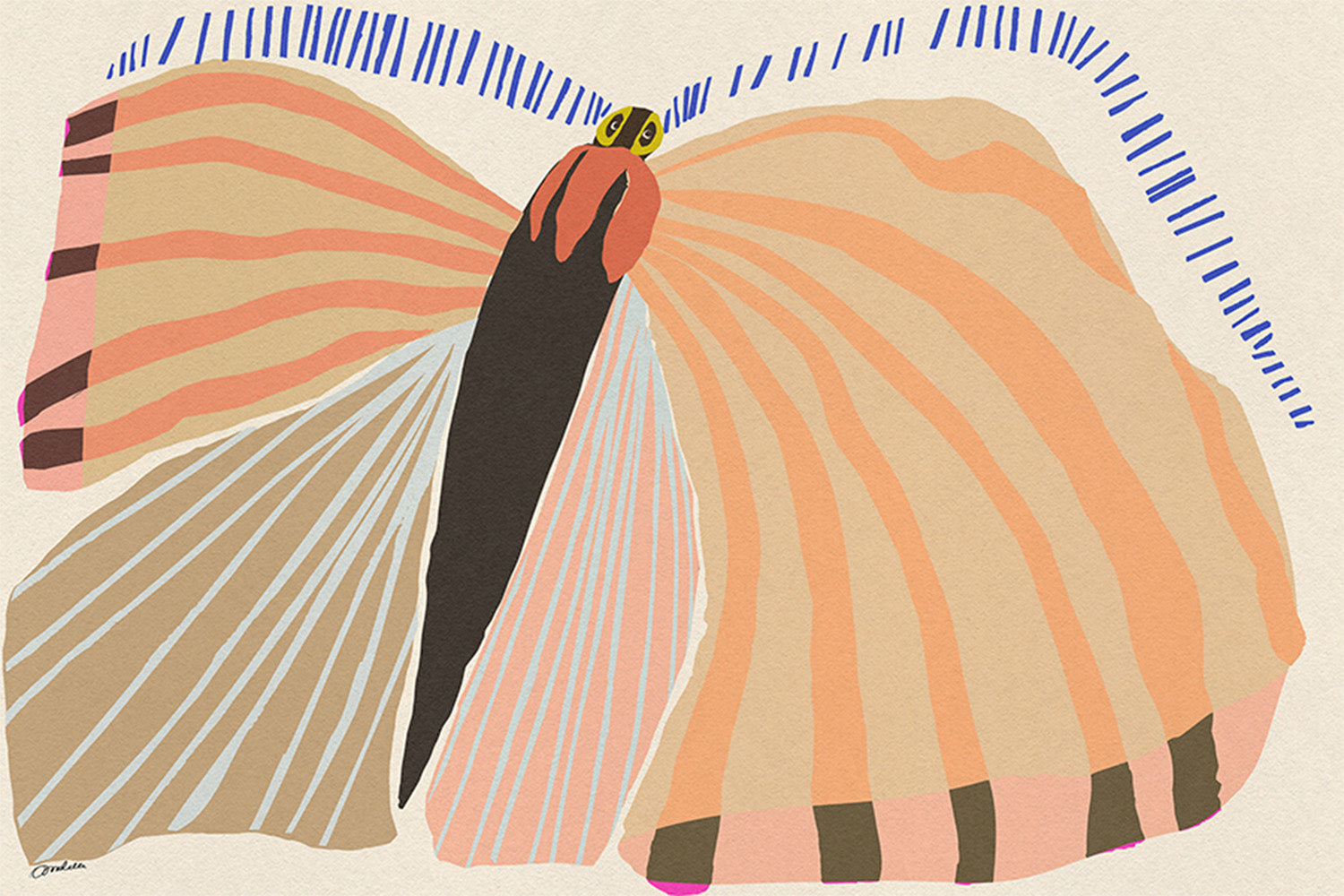 wall-art-print-canvas-poster-framed-Stripped Butterfly-1