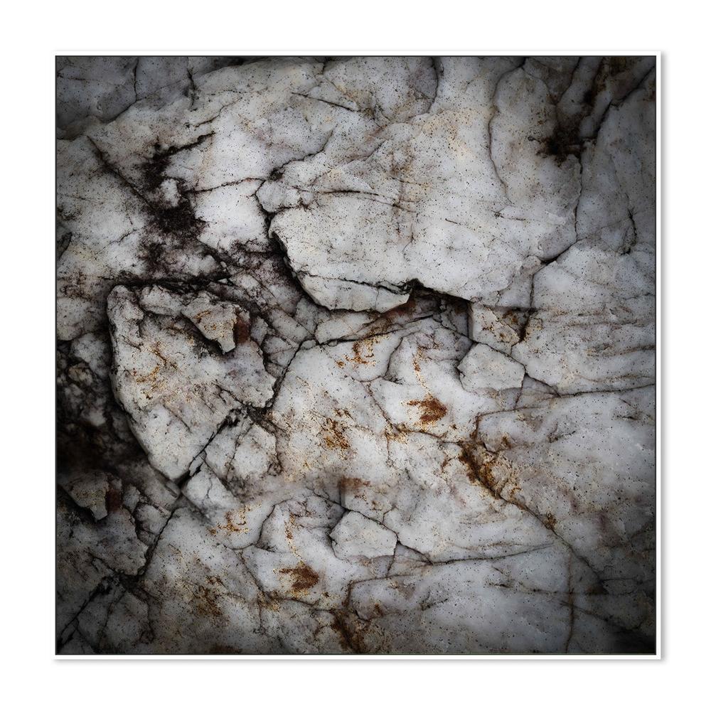 wall-art-print-canvas-poster-framed-Study 21 Earth hush-5