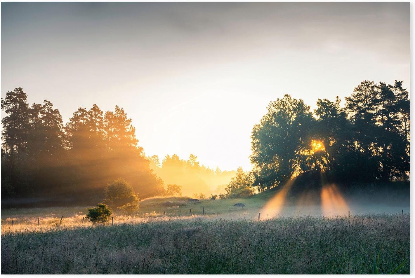 wall-art-print-canvas-poster-framed-Summer Field , By Christian Lindsten-GIOIA-WALL-ART