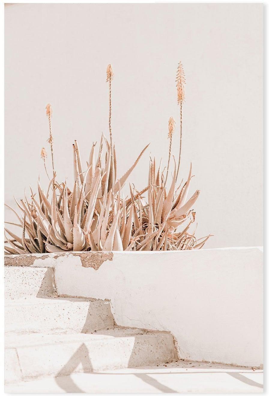 Sun bathing plants-Gioia-Prints-Framed-Canvas-Poster-GIOIA-WALL-ART