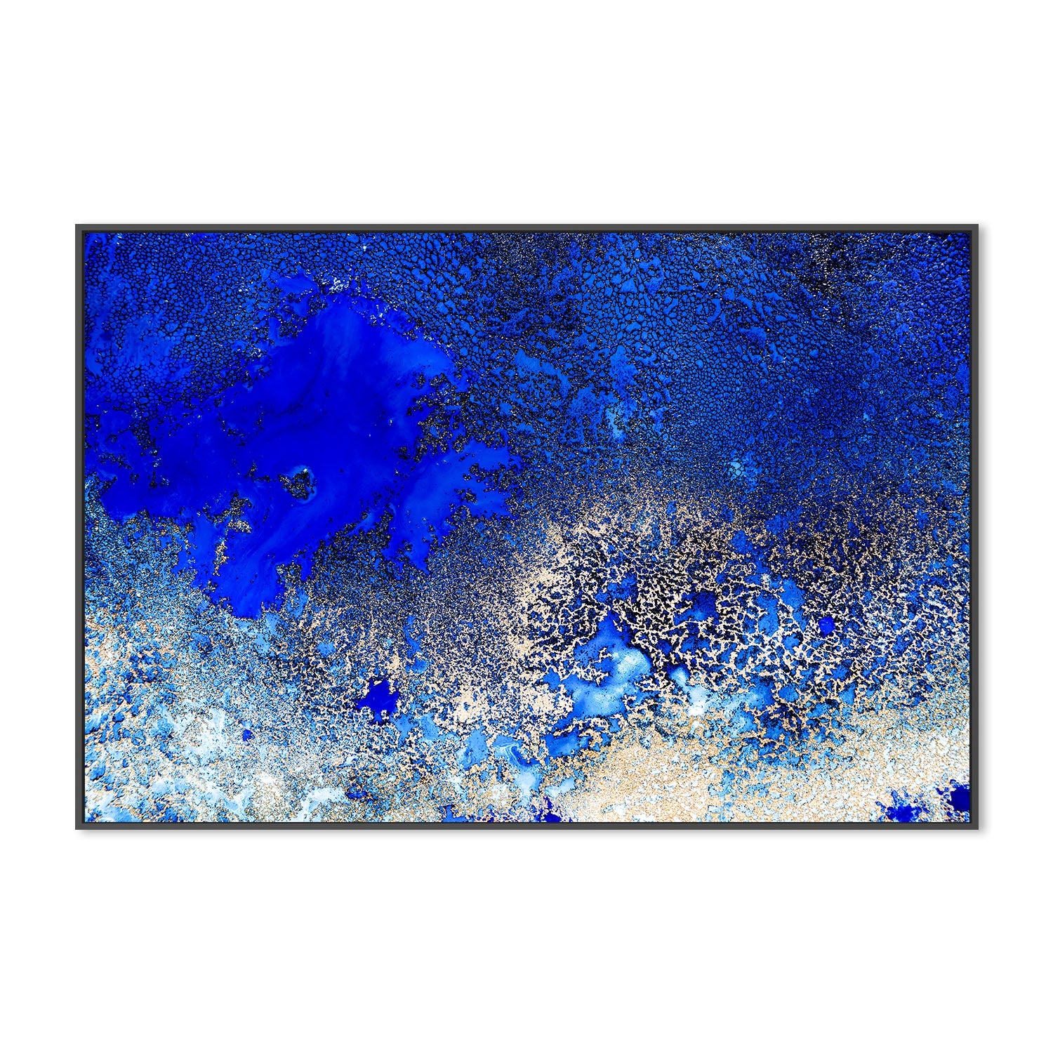 wall-art-print-canvas-poster-framed-Sunlit Reef , By Petra Meikle-3