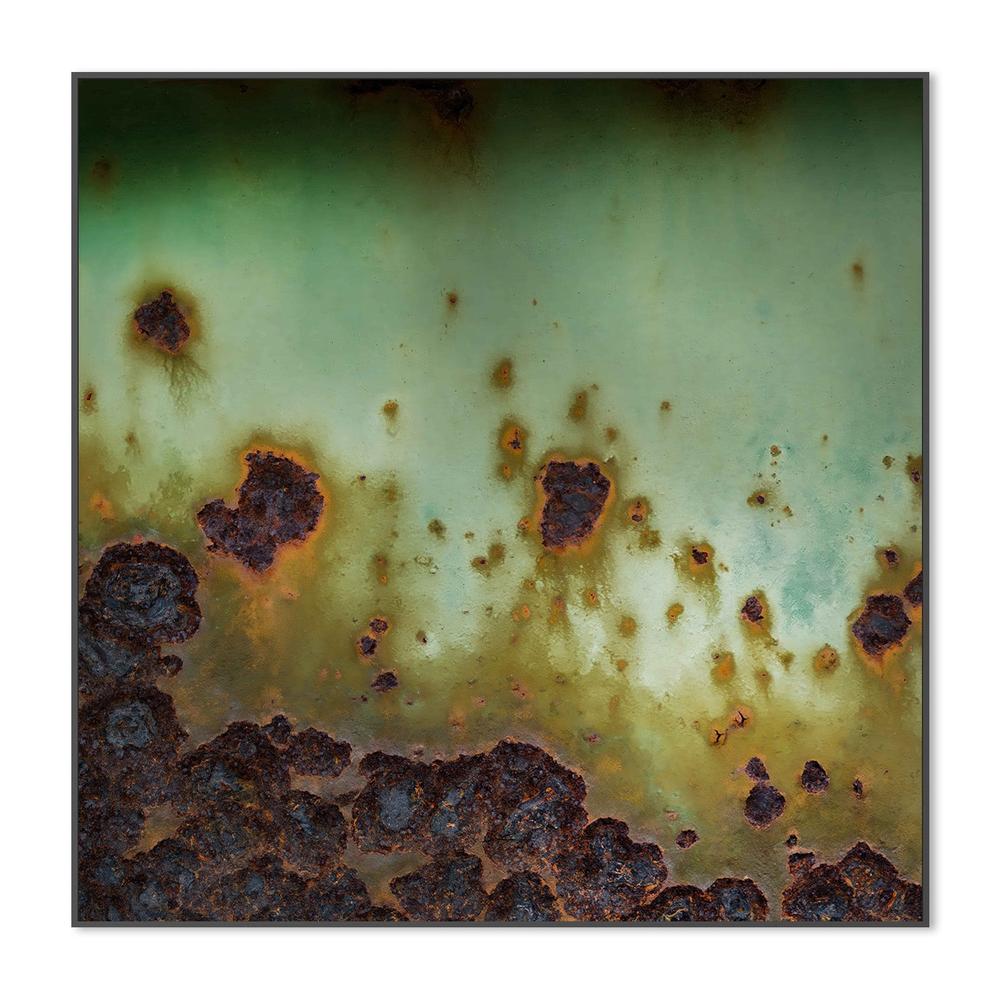 wall-art-print-canvas-poster-framed-Surface Bloom-3
