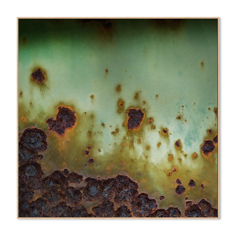 wall-art-print-canvas-poster-framed-Surface Bloom-4