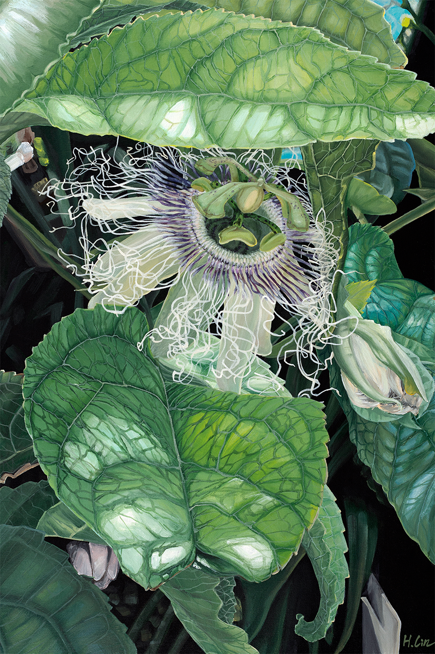 wall-art-print-canvas-poster-framed-Swoon and Bloom, Passion Flower , By Hsin Lin-1