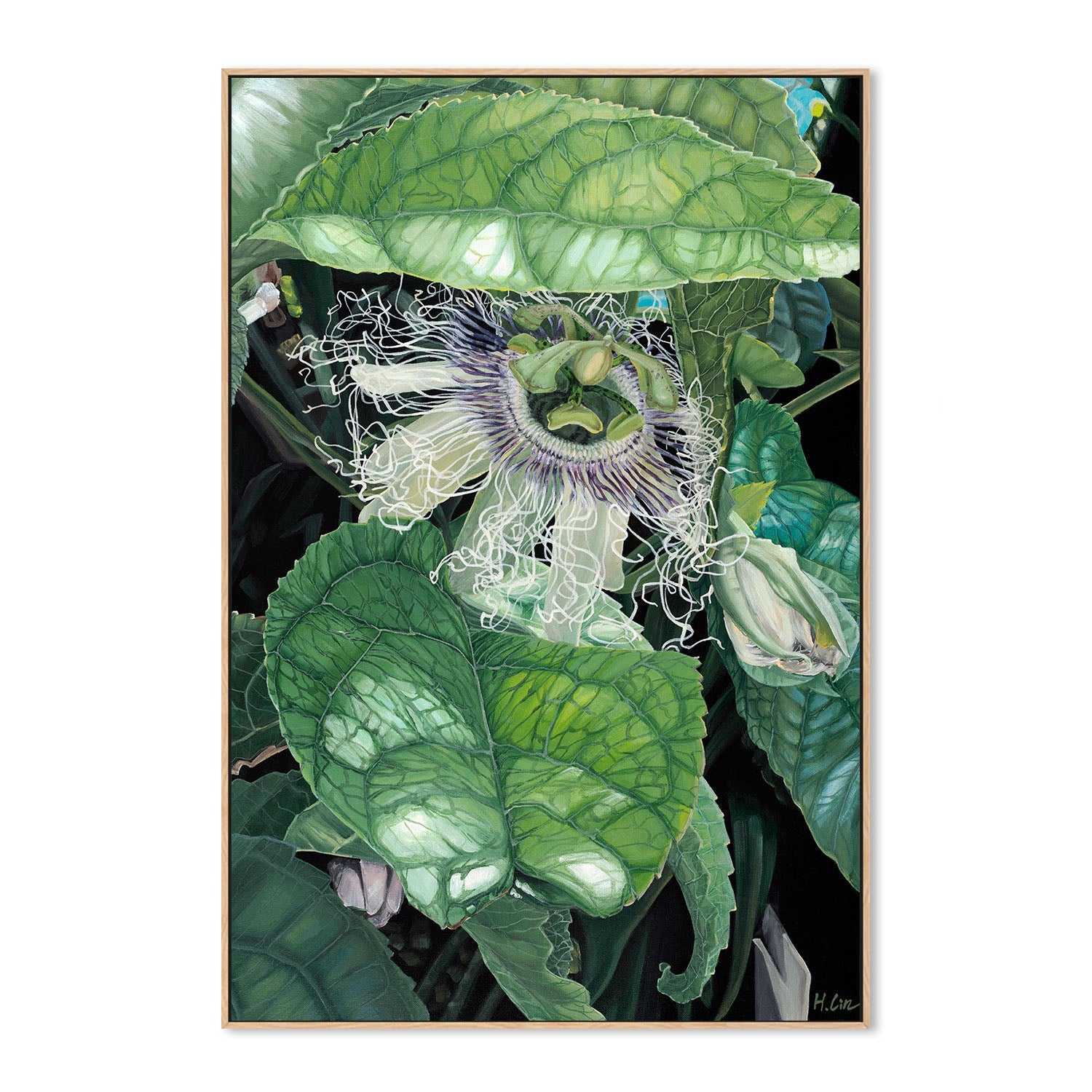 wall-art-print-canvas-poster-framed-Swoon and Bloom, Passion Flower , By Hsin Lin-4