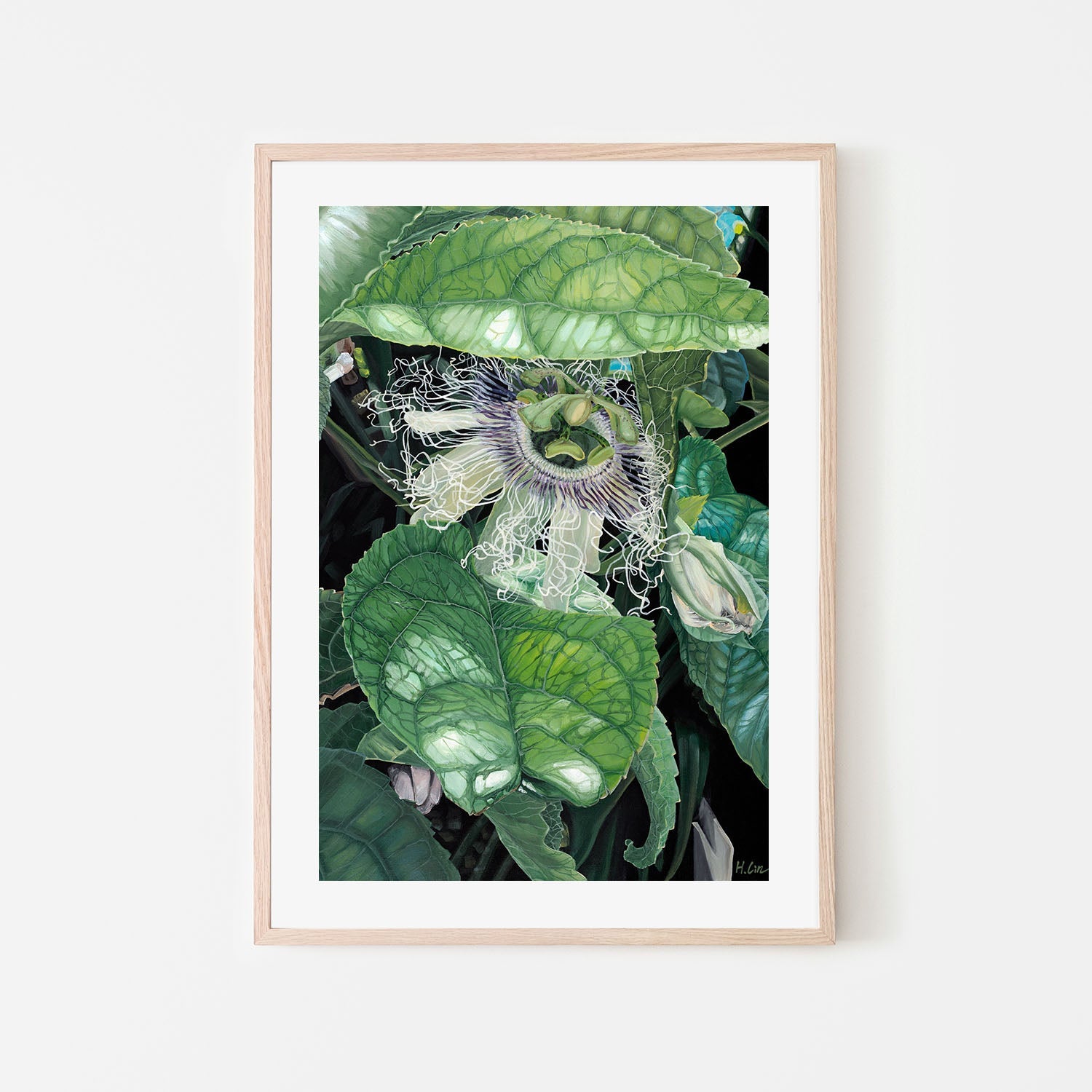 wall-art-print-canvas-poster-framed-Swoon and Bloom, Passion Flower , By Hsin Lin-6