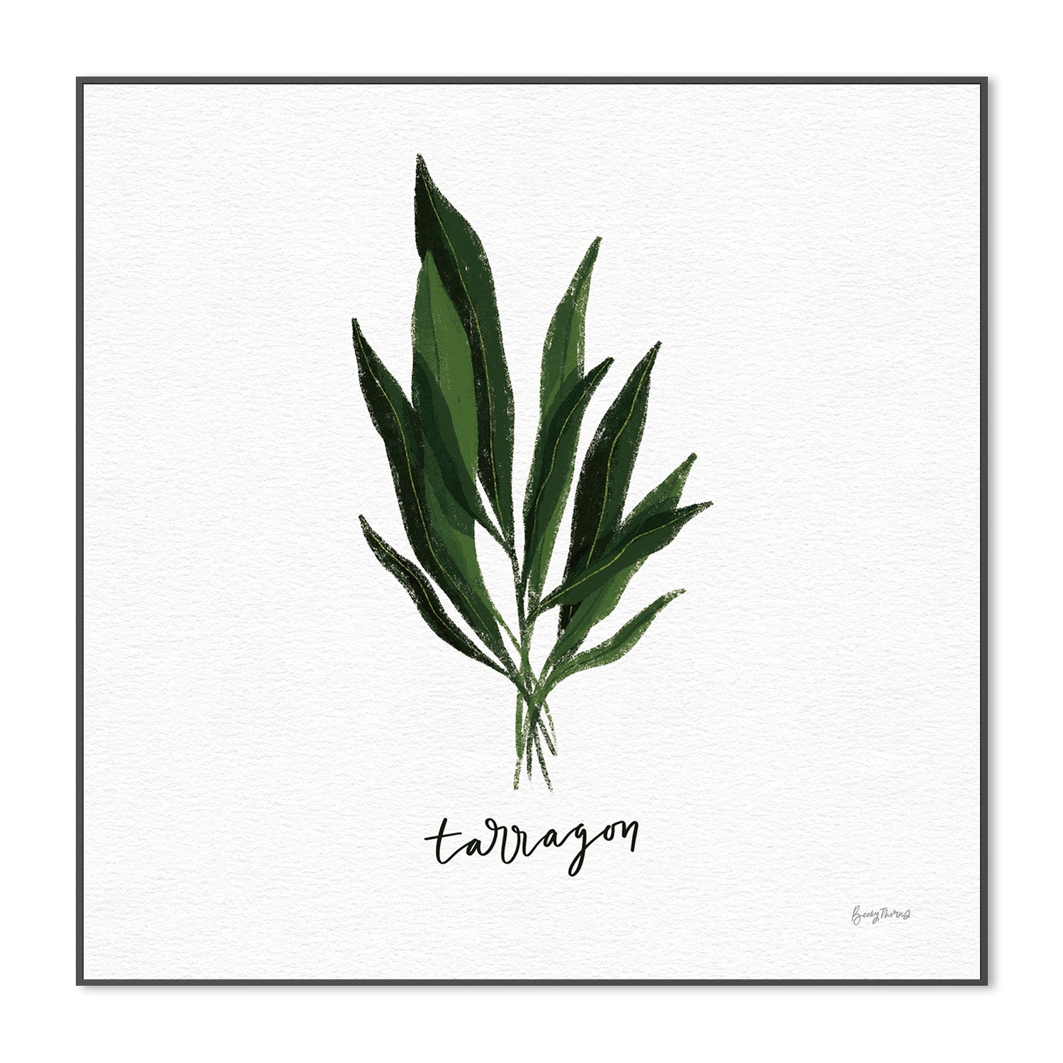 wall-art-print-canvas-poster-framed-Tarragon Herbs White, Style D , By Becky Thorns-3