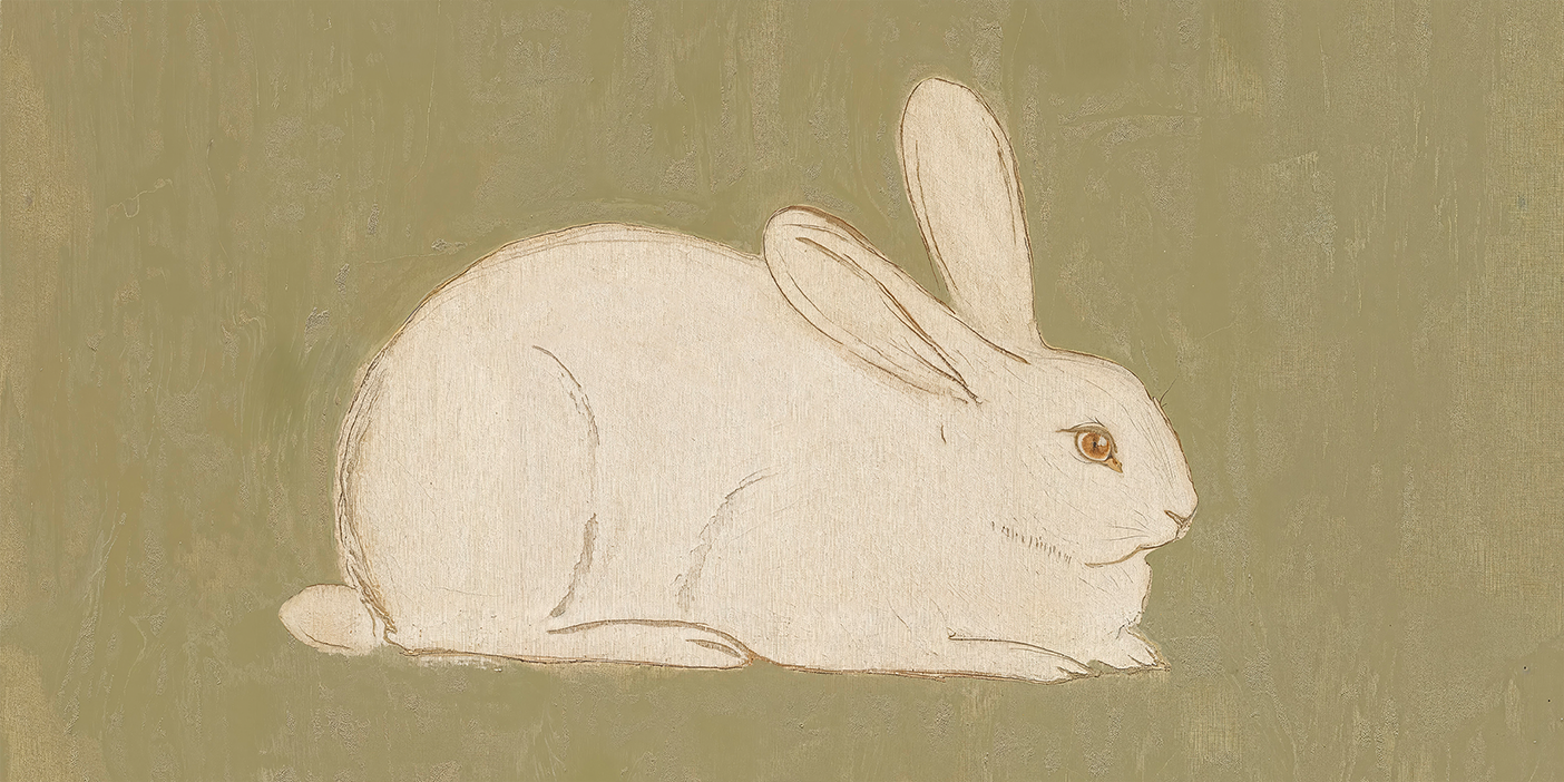 wall-art-print-canvas-poster-framed-The Bunny , By Lady Hana-1