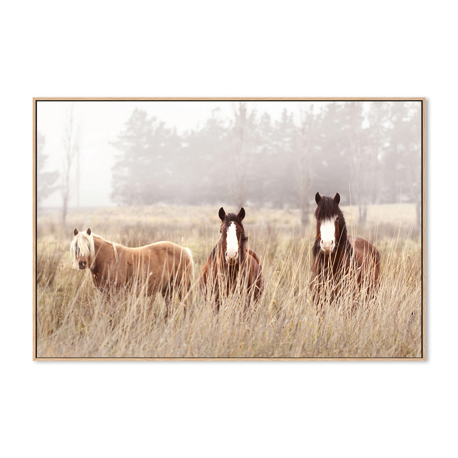 wall-art-print-canvas-poster-framed-The Gang , By Belinda Gerace-4