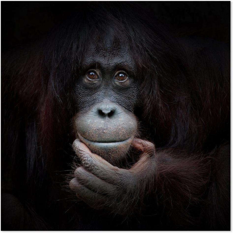 wall-art-print-canvas-poster-framed-The Mirror Image, By Antje Wenner-by-Plus X Studio-Gioia Wall Art