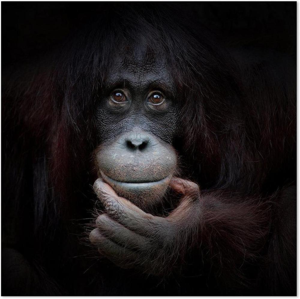 wall-art-print-canvas-poster-framed-The Mirror Image, By Antje Wenner-by-Plus X Studio-Gioia Wall Art