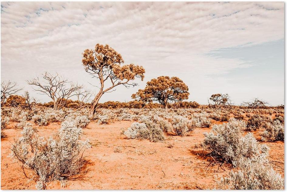 wall-art-print-canvas-poster-framed-The Red Center, Desert Outback Australia-by-Gioia Wall Art-Gioia Wall Art