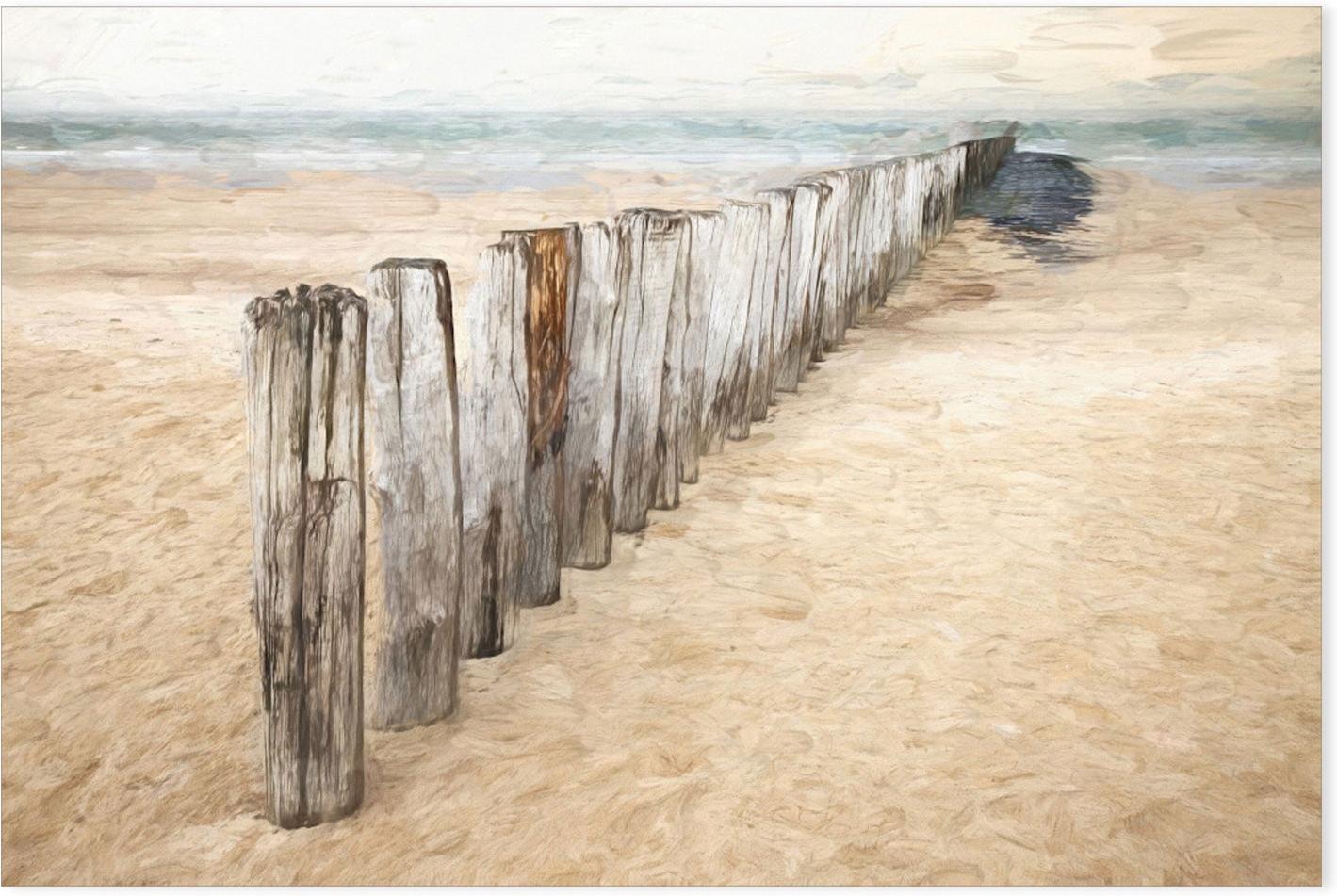 wall-art-print-canvas-poster-framed-Timber Beach Posts , By Gilbert Claes-GIOIA-WALL-ART