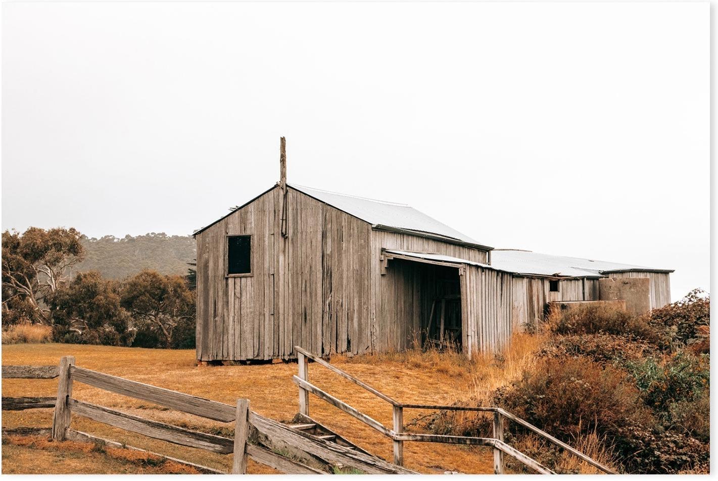 wall-art-print-canvas-poster-framed-Timber Beach Shack, Eaglehawk Neck, Tasmania , By Earth Sea & Me , By Earth Sea & Me-GIOIA-WALL-ART