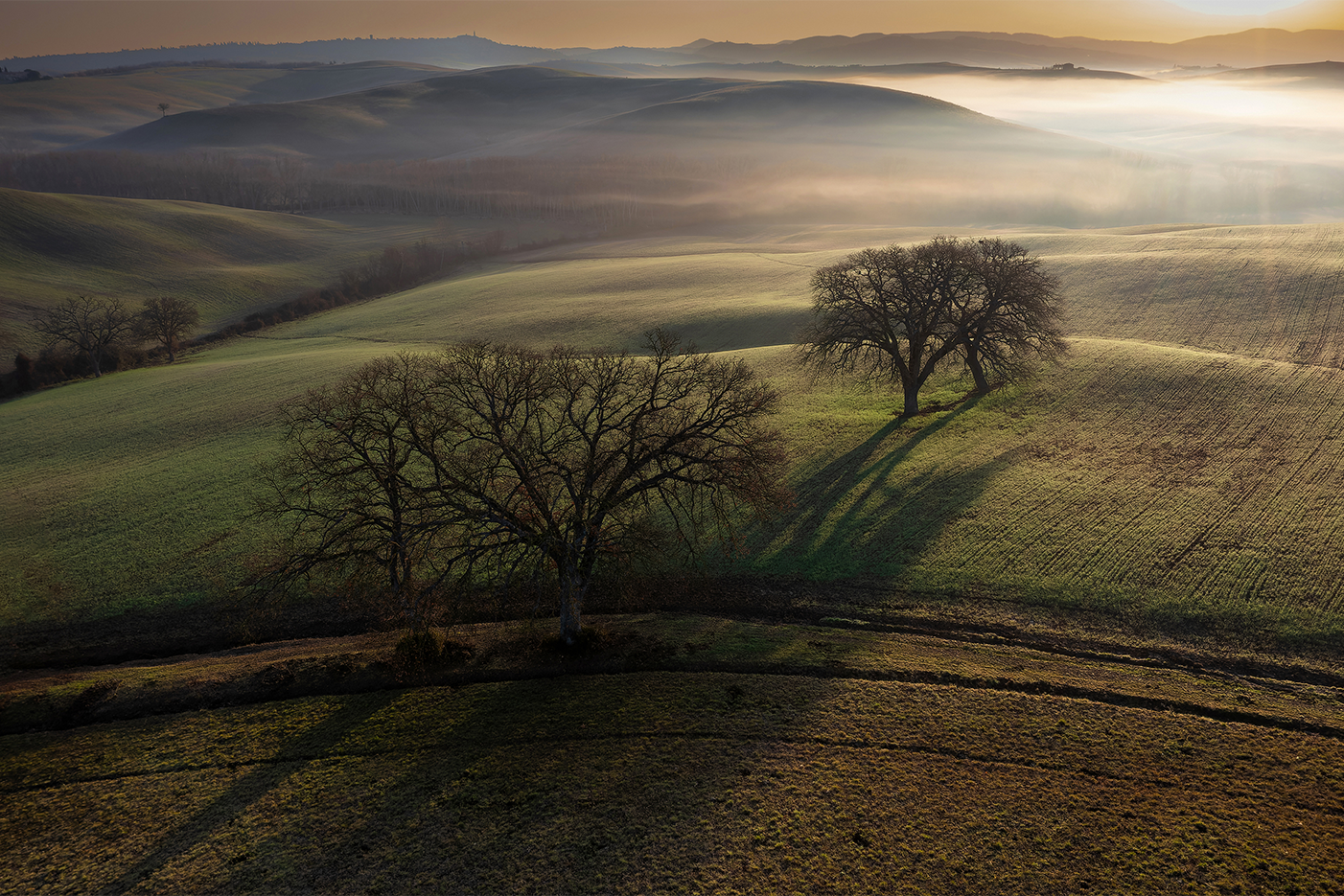 wall-art-print-canvas-poster-framed-Tuscan Morning-1