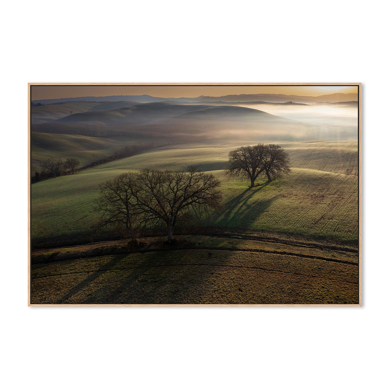 wall-art-print-canvas-poster-framed-Tuscan Morning-4