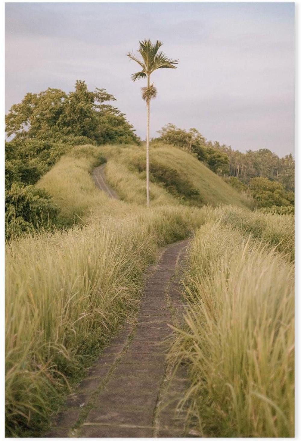 Ubud, Bali-Gioia-Prints-Framed-Canvas-Poster-GIOIA-WALL-ART