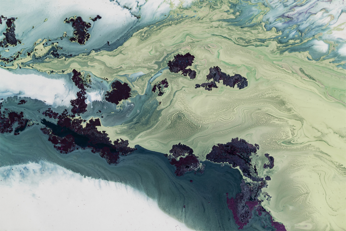 wall-art-print-canvas-poster-framed-Untouched Estuarys , By Petra Meikle-1