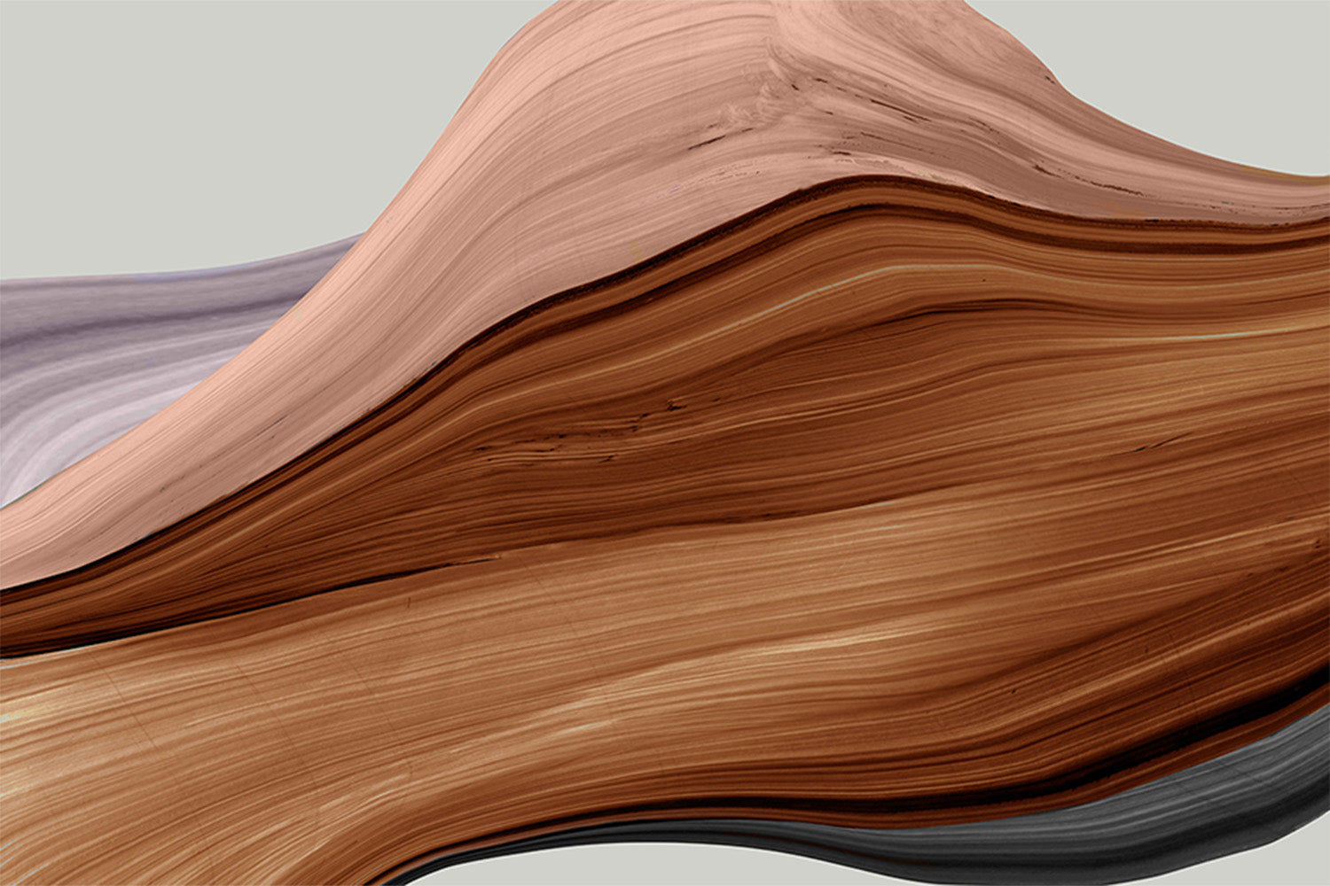 wall-art-print-canvas-poster-framed-Veins of Oak, Style A-1